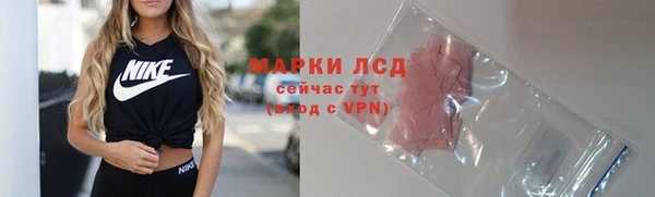 прущие грибы Верхнеуральск