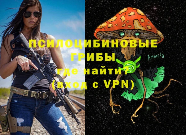 прущие грибы Верхнеуральск