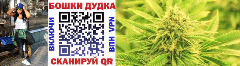закладки  Подольск  нарко площадка какой сайт  Бошки Шишки SATIVA & INDICA 